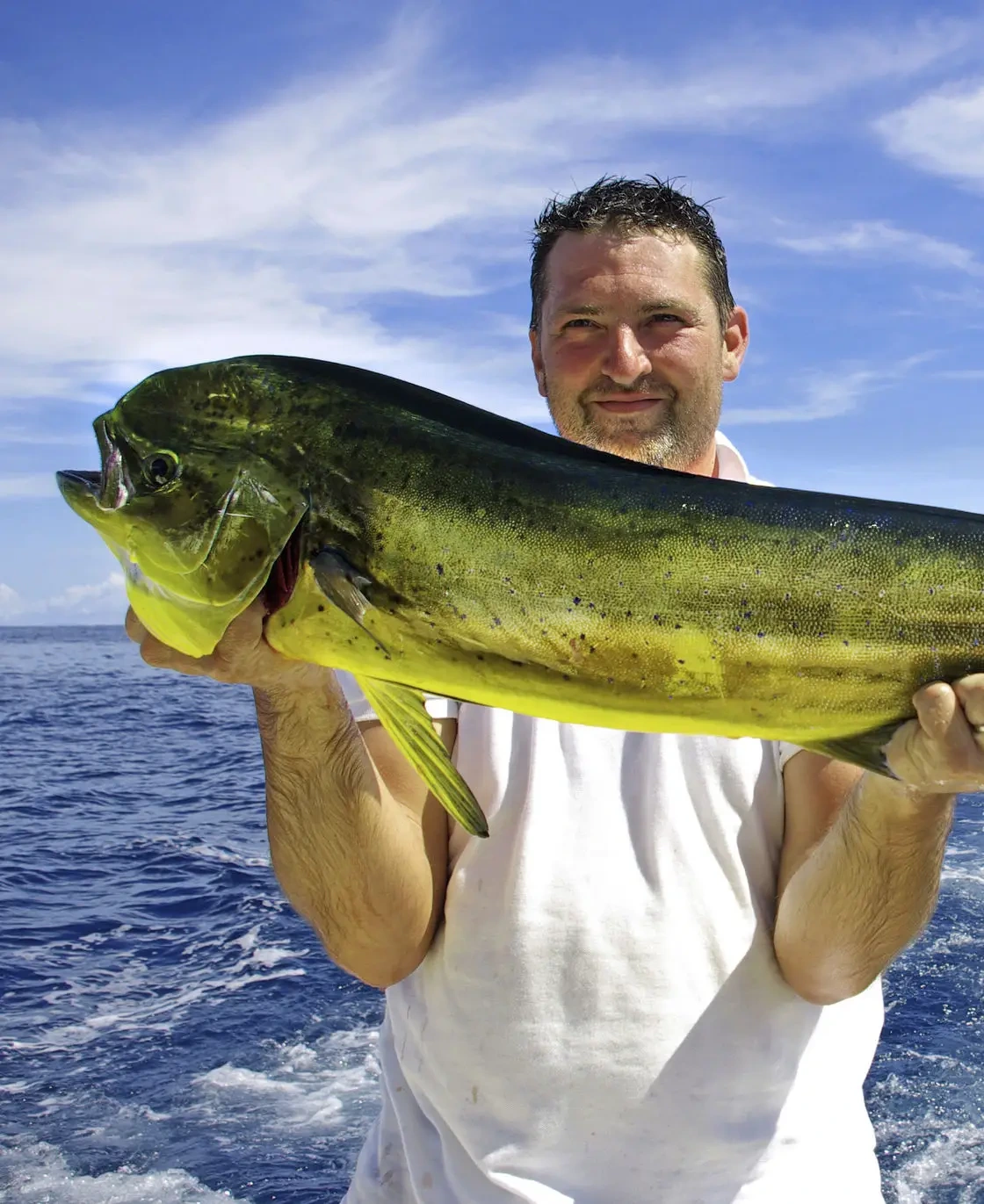 69d40c53abe0c_628ed50c-0906-49b9-a2ca-3d84a963ed00 (1) (2)