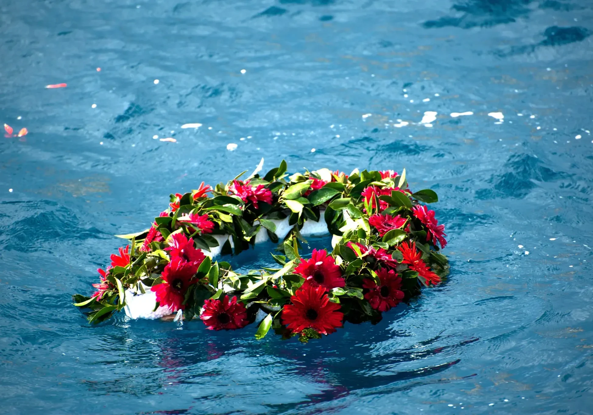 69d413ac7e699_465bf107-4bee-4022-8829-6e11243707e7 (1)